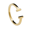 Double Gold Ring